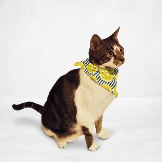 Fresh Lemons Cat & Dog Bandana