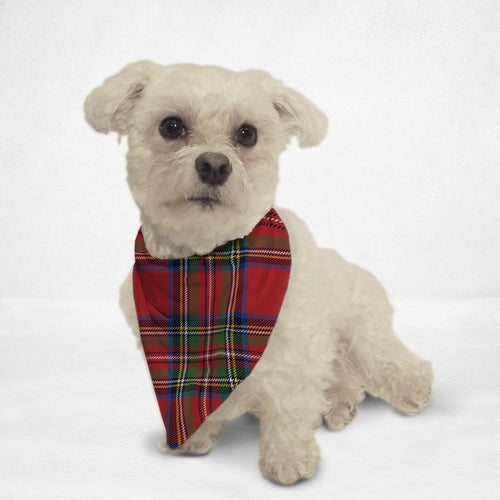 Scottish Plaid Cat & Dog Bandana